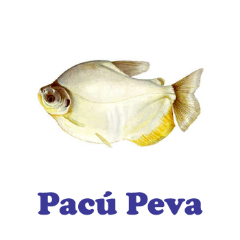 Peixes - 03